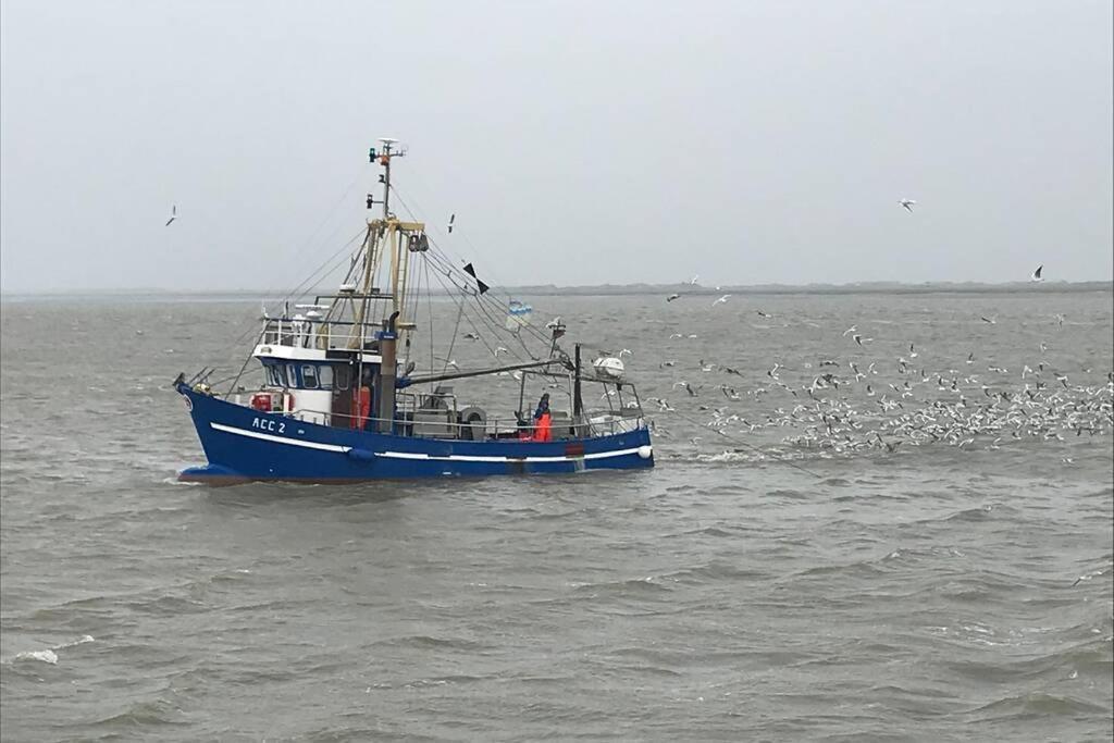 Nordsee Ferienwohnung Fuer 2 Personen Schillig Εξωτερικό φωτογραφία